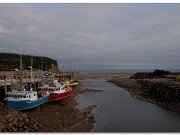Bay of Fundy_2005_209