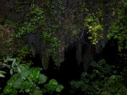 Del_Rio_Camuy_Cave_02