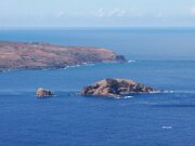 Maui Sea Turtle Rock-1