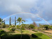 Maui Rainbow