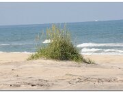 Cape Hatteras_2010_03