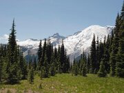 Mt_Ranier_2009_03